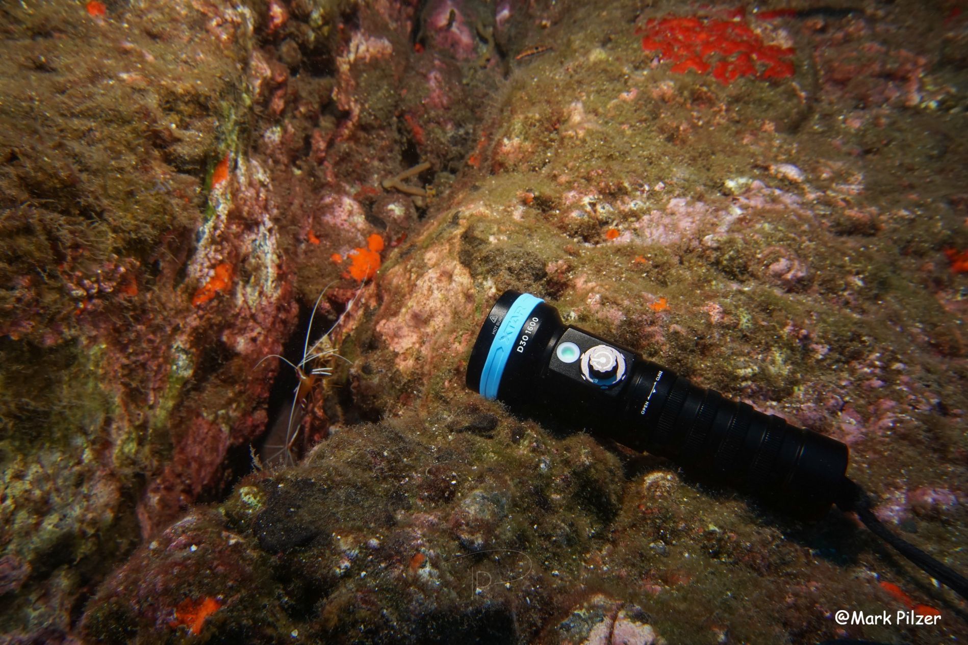 XTAR D30 1600 Dive Light focus light for underwater photography