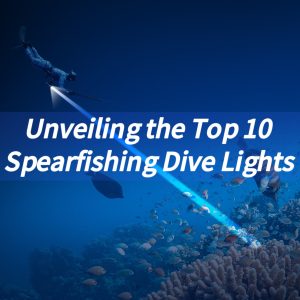 Unveiling the Top 10 Spearfishing Dive Lights